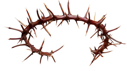 Obraz premium Crown of Thorns Isolated on Transparent Background