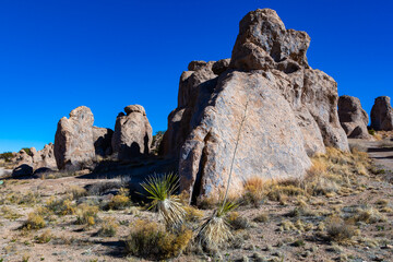 Fototapeta premium Amazing Rock formations from weathered petrified sedimentary rocks in a rock desert in Rocks State Park, New Mexico