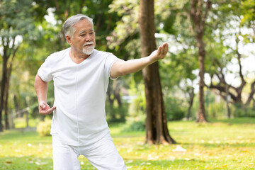 asian senior man workout and practice tai chi in the park