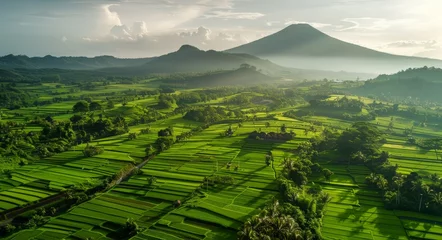 Foto op Canvas A birds eye view of a vast rice field stretching towards a majestic mountain in the distance. © pham