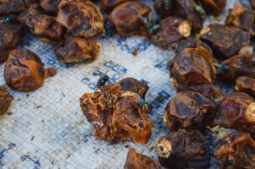 close up view of dried fruits insect fly