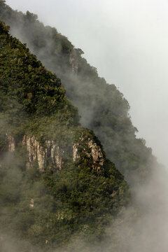 Majestic cliff adorned with native vegetation in Serra do Rio do Rastro, as the mist begins to envelop the region.