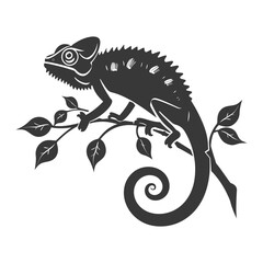 Obraz premium Silhouette chameleon Animal black color only full body