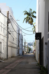 South Beach Alleyway