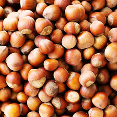 Hazelnuts closeup, texture background with hazelnuts