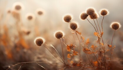  a close up of a plant with lots of flowers in the foreground and a foggy sky in the background.