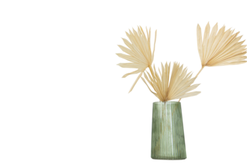 glass vase with dry palm leaves. Decor. boho style
Isolate on transparent. PNG format available
