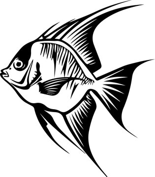 recommend clip art: Angelfish Black Vector Illustration