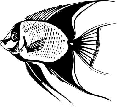 recommend clip art: Angelfish Black Vector Illustration