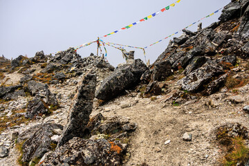 Reaching a high pass (4,640 m) with prayer flags on the trek from Tseram to Ghunsa via Selele Camp on the Kanchenjunga Base Camp trek, Nepal