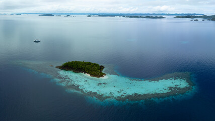Obraz premium Beautiful limestone islands rise from Raja Ampat's tropical seascape. This region of Indonesia is known as the heart of the Coral Triangle due to the extraordinary marine biodiversity found there.