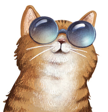 Illustration of funny cat with sunglasses