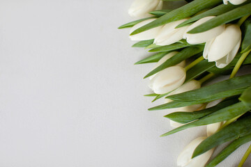 Bouquet of white tulips on the right on a white background. Top view. Copy space. Wedding flowers. 