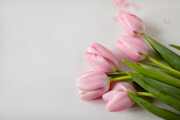 A bouquet of pink tulips and pink tinsel on a white background in the lower right corner. Copy...
