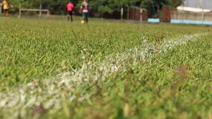 Linha lateral branca em um campo de futebol em um dia de sol - obrazy, fototapety, plakaty