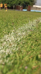 Linha lateral branca em um campo de futebol em um dia de sol