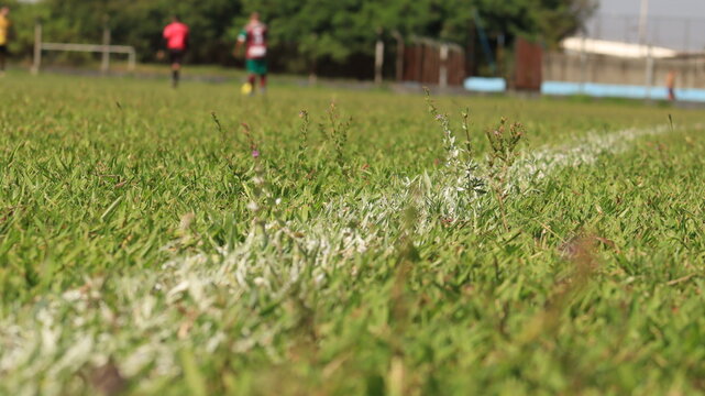 Linha lateral branca em um campo de futebol em um dia de sol