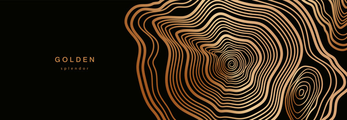 Background of abstract growth rings of a tree.Line design of a timber stump.Tree cut pattern.Wooden organic slice line creation.Vector topographic map concept.