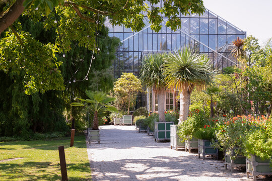 Greenhouse of the Hortus botanicus in Leiden. It is the oldest botanical garden in the Netherlands and was founded in 1590.