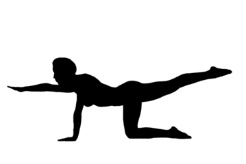 silhouette woman in yoga movements pilates body exercise vector image isolated on transparent white background