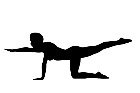 silhouette woman in yoga movements pilates body exercise vector image isolated on transparent white background