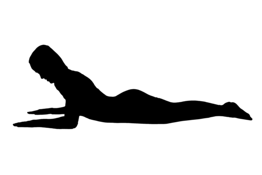 silhouette woman in yoga movements pilates body exercise vector image isolated on transparent white background