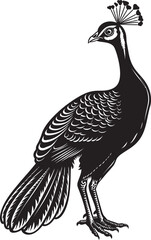 Vibrant Charm Hand Drawn Peacock Symbol in Black Exotic Majesty Stunning Peacock Icon in Black Vector