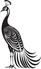 Royal Rhapsody Hand Drawn Symbol of Large Peacock in Black Radiant Plumage Logo Design of Gorgeous Peacock in Black Vector