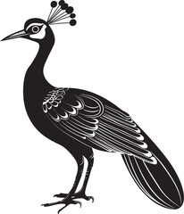Peacock Panache Black Logo Design of Large Beautiful Peacock Vector Icon Regal Plumage Majesty Hand Drawn Peacock Symbol in Vector Black