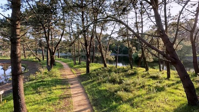 Scenic view of Bucaquinho Natural Park, Ovar, north of Portugal.