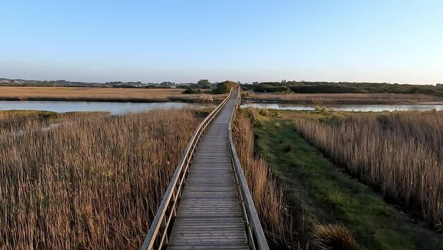Wooden structure on the footbridges of Barrinha de Esmoriz with water from the Paramos lagoon, Portugal.