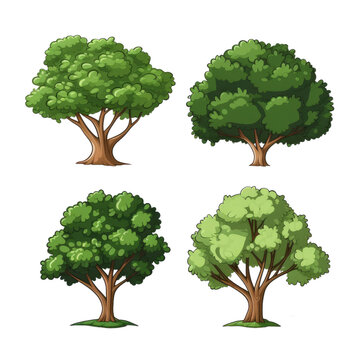 Three trees vector, 2D cartoon style, white background.