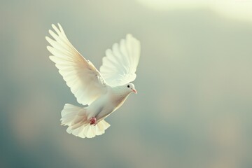 Beautiful White Dove with Outstretched Wings Flying Away - Symbol of Peace and Freedom