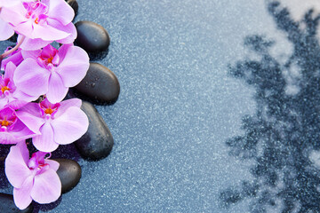 Fototapeta na wymiar Black spa stone and pink orchid flowers on the gray table background.