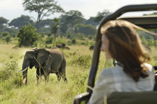 Safari Adventure: Woman Observing an Elephant