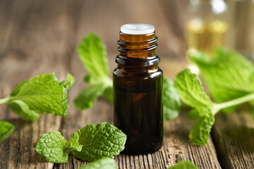 A dropper bottle of aromatherapy essential oil with fresh peppermint