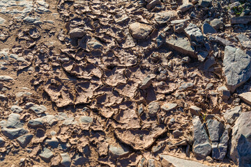 Close up on drying and curling mud in a dried up river bed. 
