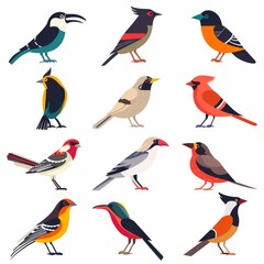 Birds Flat Icon, Birding Species Set Isolated, Exotic Bird Collection on White Background