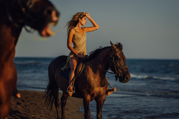 Portrait of a young woman riding a horse at summertime.