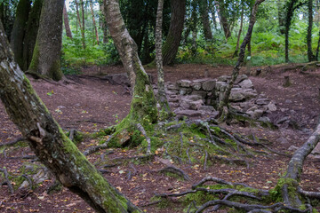 fontaine de Barenton
