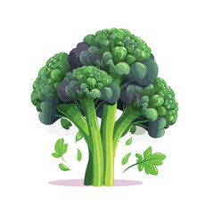 Fresh broccoli with florets and leaves illustration