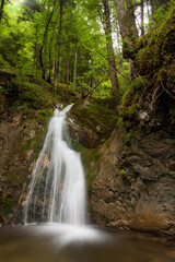 Cascade dans la forêt