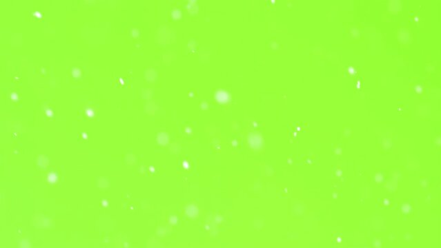 Snow snowing green screen background