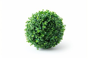 green grass globe sphere ball isolated on white background