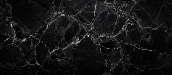 Close up of black marble with white veins, resembling a monochrome pattern found in nature. Resembling the winding veins of a terrestrial plant or dark forest floor - obrazy, fototapety, plakaty