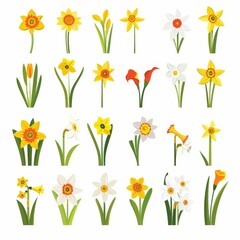 Narcissus Flower Icon Set, Garden Daffodil Flat Design, Abstract Narcissus Symbol, Simple Flowers Bouquet