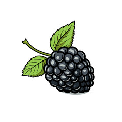 Blackberry. Blackberry hand-drawn comic illustration. Vector doodle style cartoon illustration.