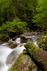 Cascade de haute Savoie 