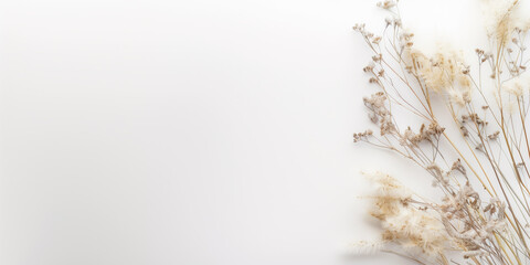 A minimalist composition of delicate dried flowers gently resting on a soft white background