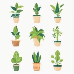 Fototapeta na wymiar Hoya (Waxplant, Waxvine, Waxflower) Houseplants Pot Plant Icon Set, Hoya Plant Flat Design